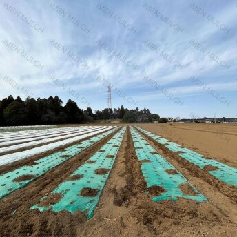 اجرا و پهن کردن فیلم مالچ