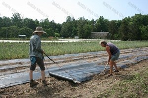 اجرا و پهن کردن فیلم مالچ