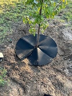 فیلم مالچ باغی