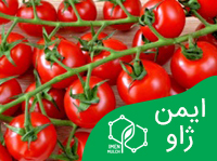 سیستم آبیاری قطره‌ای