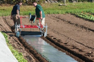 اجرا و پهن کردن فیلم مالچ