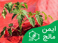 لوله‌ قطره‌چکان‌دار چیست؟