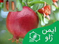 نایلون مالچ