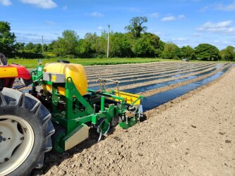 اجرا مکانیزه و پهن کردن فیلم مالچ کشاورزی